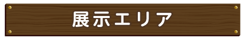 展示エリア
